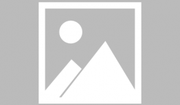 动漫资源下载网站,海量资源一网打尽