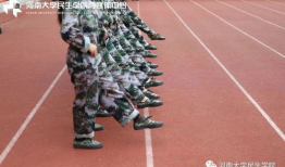 吃瓜网站军训爆料是真的吗,吃瓜网站信息真实性揭秘